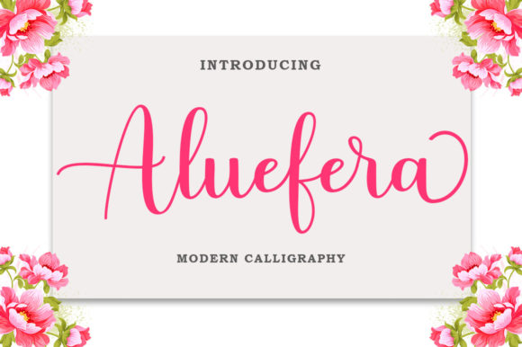 Aluefera Script Font for Luxury Digital Branding