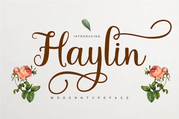 Haylin Script: A Delicate Script Font for Elegant Campaigns