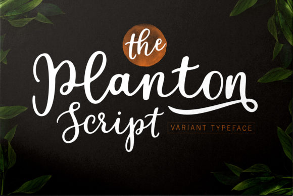 Planton Script: A Handwritten Font That Elevates Your Brand