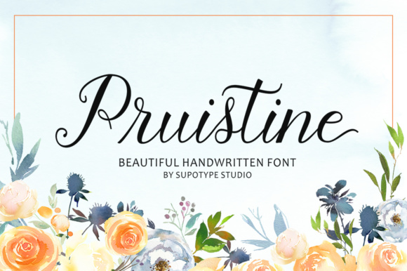 Pruistine Script: A Romantic Script Handwritten Font for Campaign Clarity