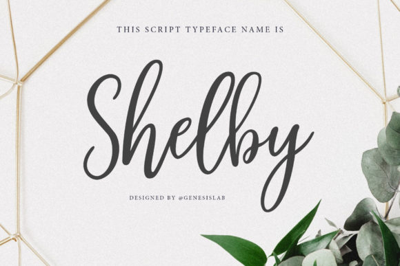 Shelby Script Font for Professional Small Business Branding